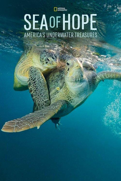 Sea of Hope: America's Underwater Treasures 2017 official movie poster