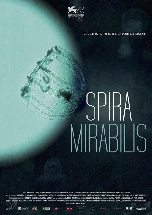 Miraculous Spiral 2016 official movie poster