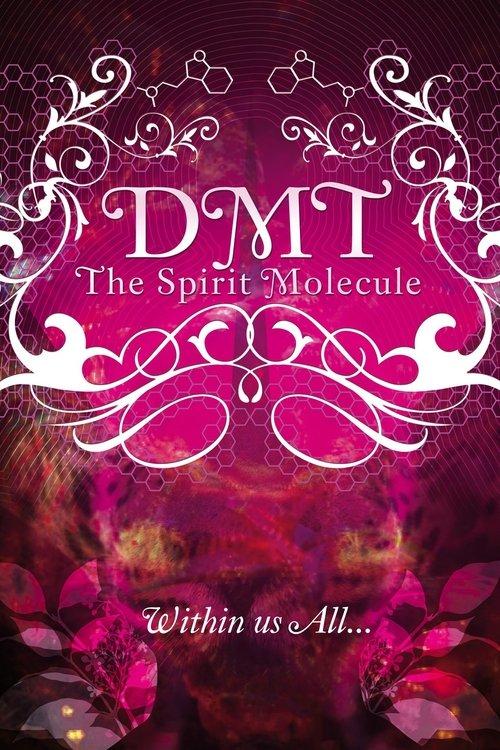 DMT: The Spirit Molecule 2010 official movie poster