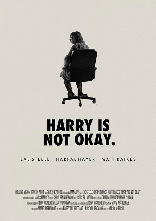 Harry Is Not Okay 2021 official movie poster