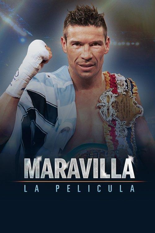 Marvelous, the Film 2014 official movie poster