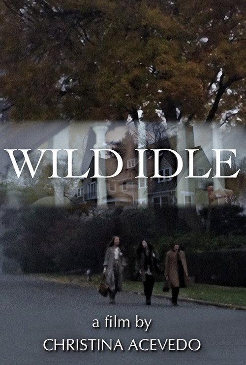 Wild Idle 2011 official movie poster