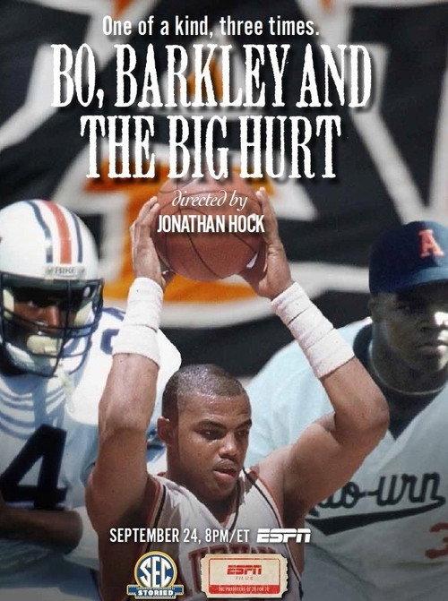 Bo, Barkley and the Big Hurt 2014 official movie poster