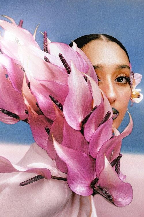 Where The Butterflies Went 2024 official movie poster