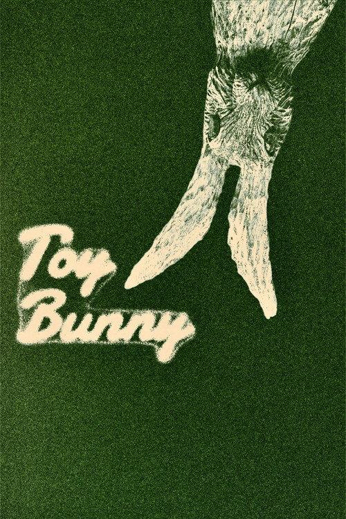 Toy Bunny 2026 official movie poster