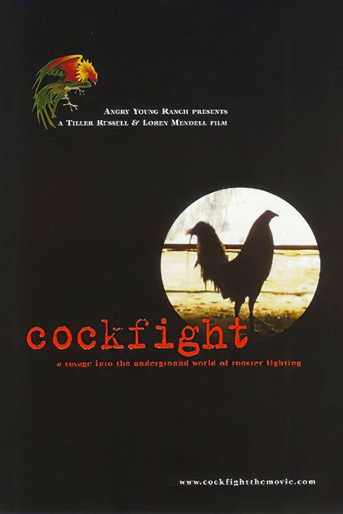Cockfight 2001 official movie poster