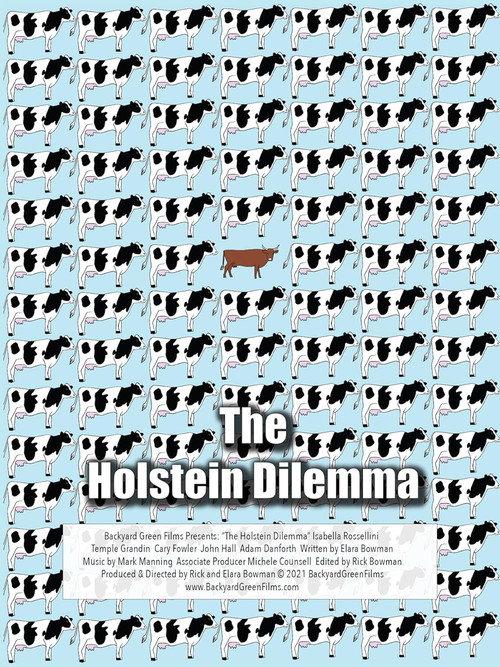 The Holstein Dilemma 2021 official movie poster