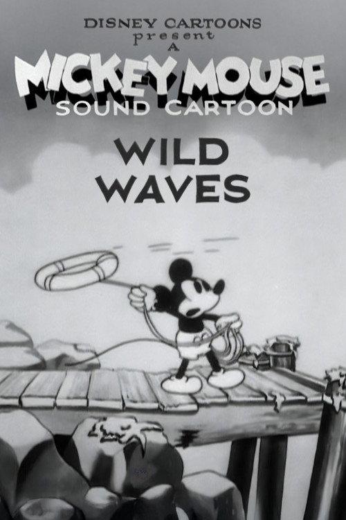 Wild Waves 1929 official movie poster