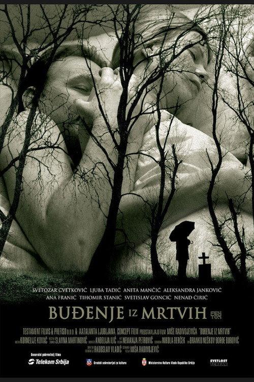 Awakening from the Dead 2005 official movie poster