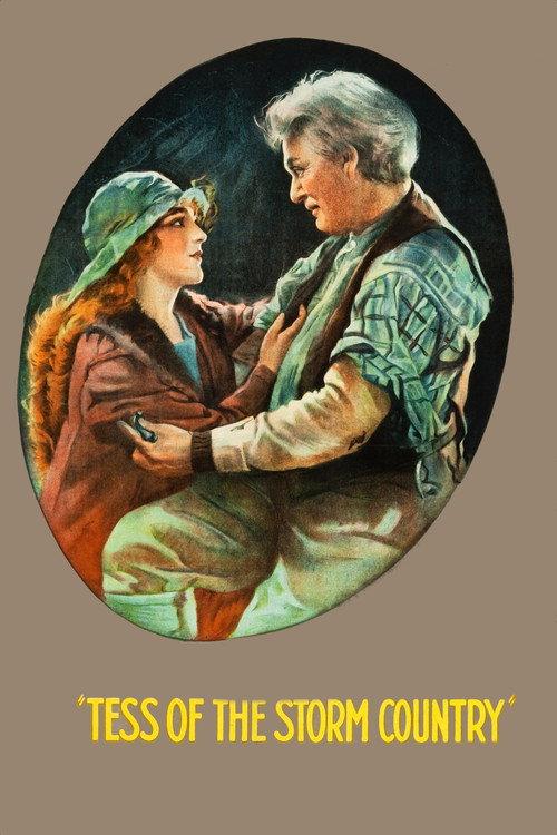 Tess of the Storm Country 1922 official movie poster