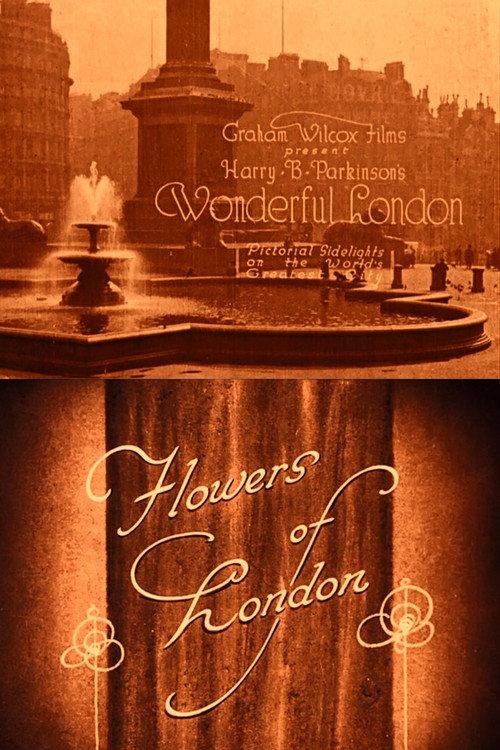 Wonderful London: Flowers of London 1924 official movie poster
