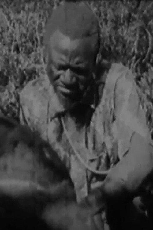O Kimbanda Kambia 1979 official movie poster