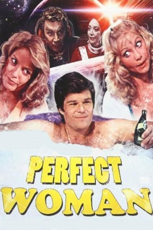 The Perfect Woman 1981 official movie poster