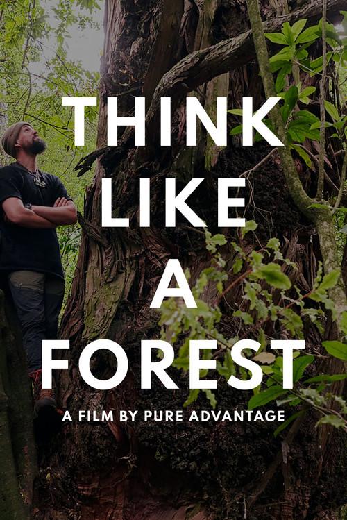 Think Like a Forest 2025 official movie poster
