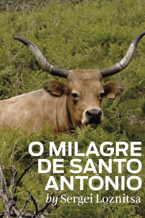 The Miracle of Saint Anthony 2012 official movie poster