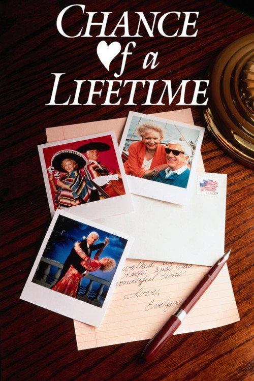 Chance of a Lifetime 1991 official movie poster