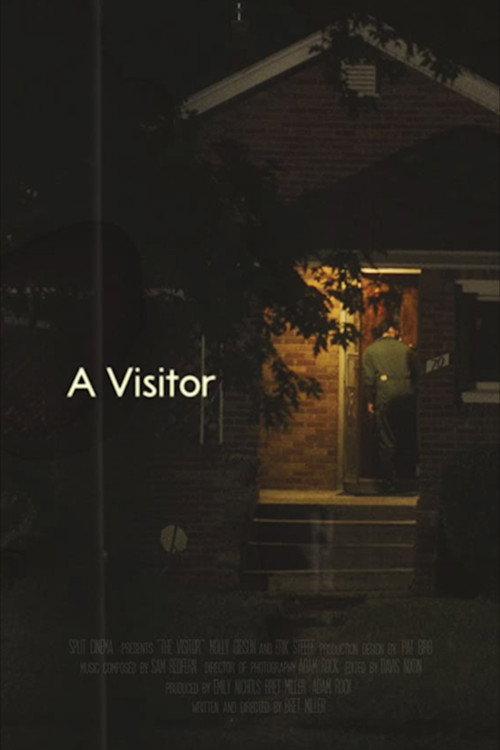 A Visitor 2020 official movie poster