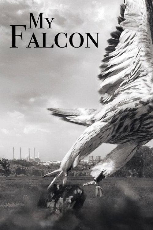 My Falcon 2023 official movie poster