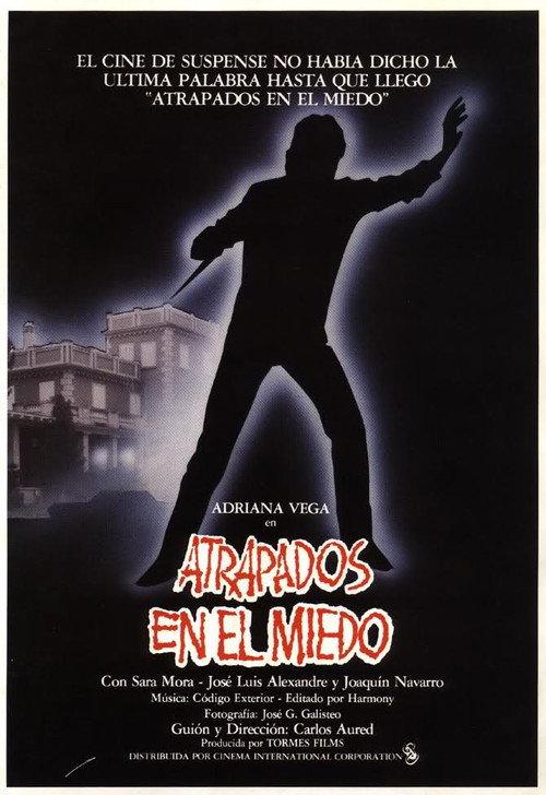 Caught in Fear 1985 official movie poster