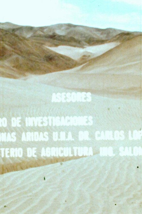 Las Arenas y el Hombre 1978 official movie poster