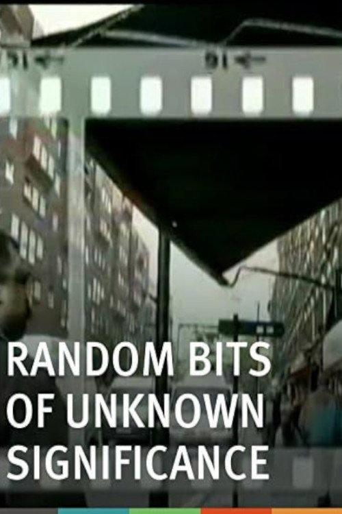 Random Bits of Unknown Significance 2008 official movie poster