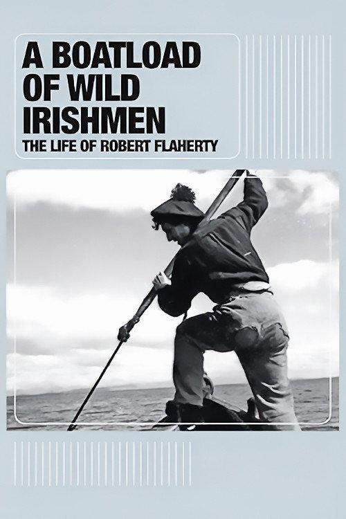 A Boatload of Wild Irishmen 2010 official movie poster