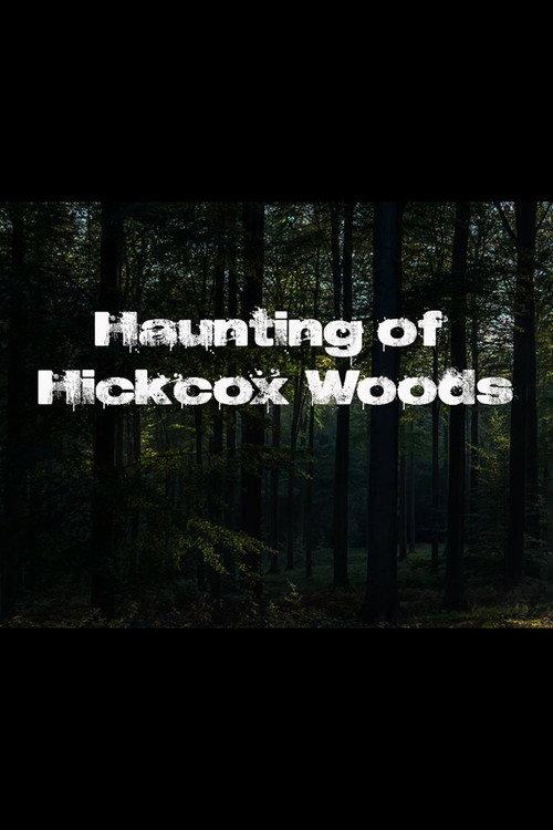 The Haunting of Hickcox Woods 2024 official movie poster