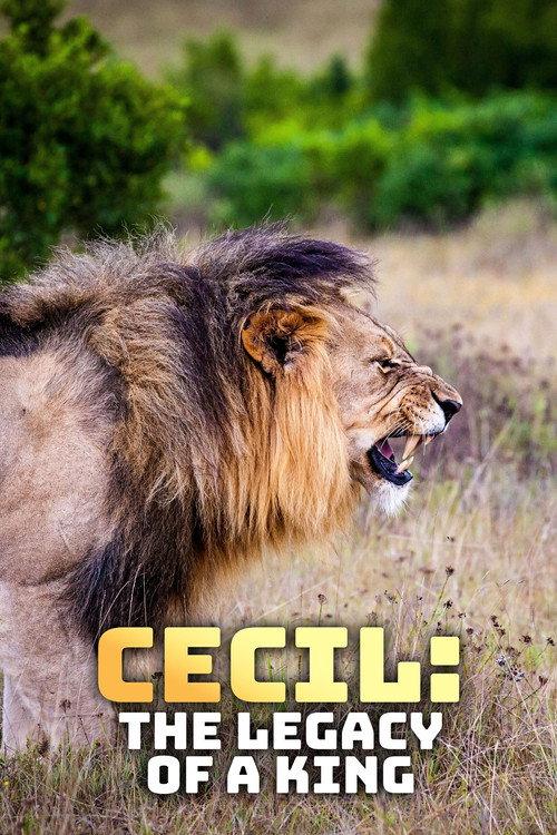 Cecil: The Legacy of a King 2020 official movie poster