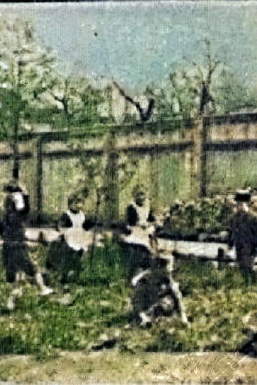 Children Playing in the Garden 1894 official movie poster