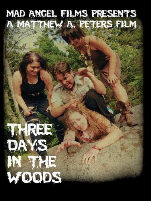 Three Days in the Woods 2010 official movie poster