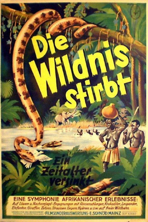 Die Wildnis stirbt! 1936 official movie poster
