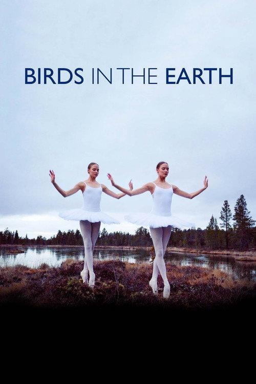 Birds in the Earth 2018 official movie poster