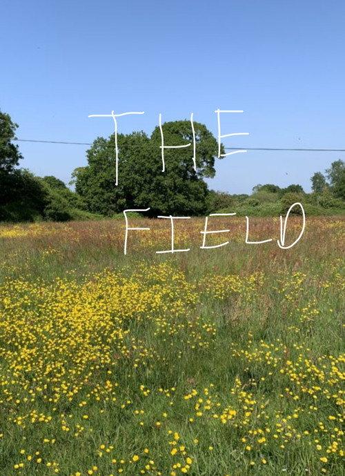 The Field 2013 official movie poster