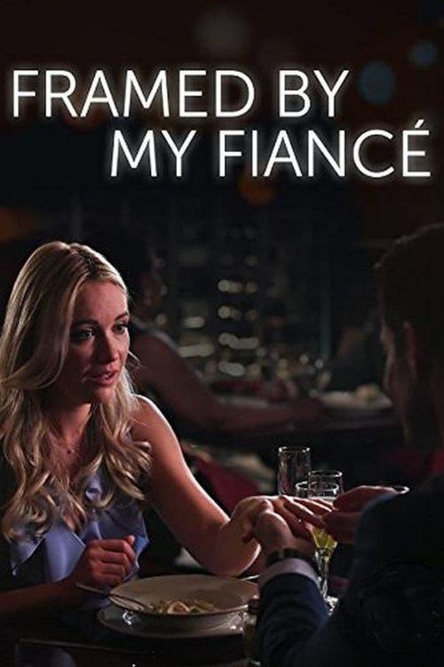 Framed By My Fiancé 2017 official movie poster