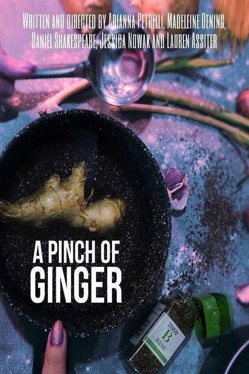 A Pinch of Ginger 2023 official movie poster