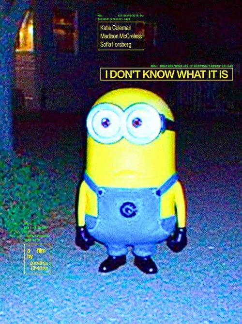 I Don't Know What It Is 2025 official movie poster