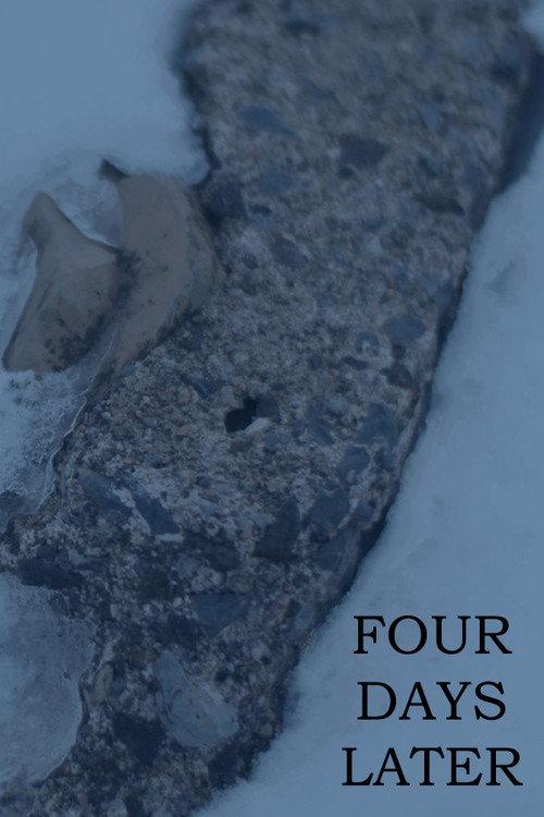 FOUR DAYS LATER 2022 official movie poster