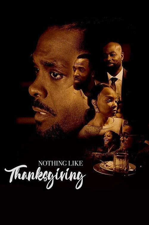Nothing Like Thanksgiving 2017 official movie poster