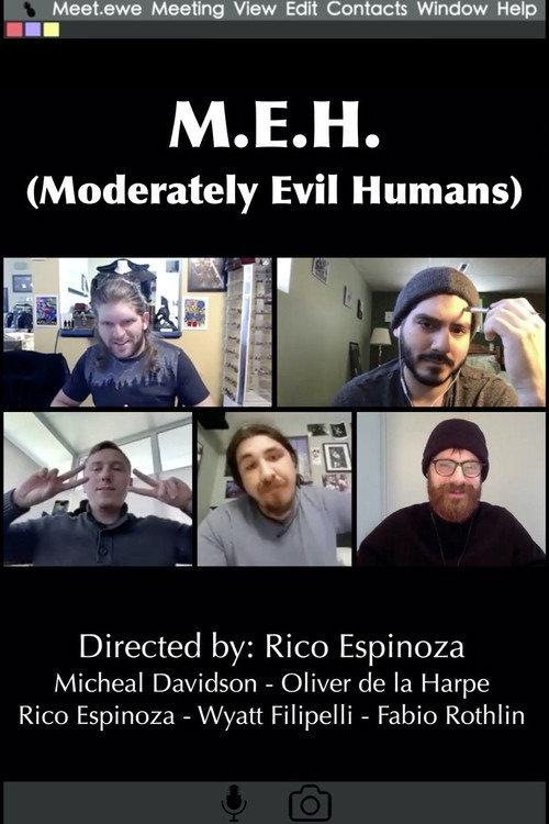 M.E.H. (Moderately Evil Humans) 2020 official movie poster