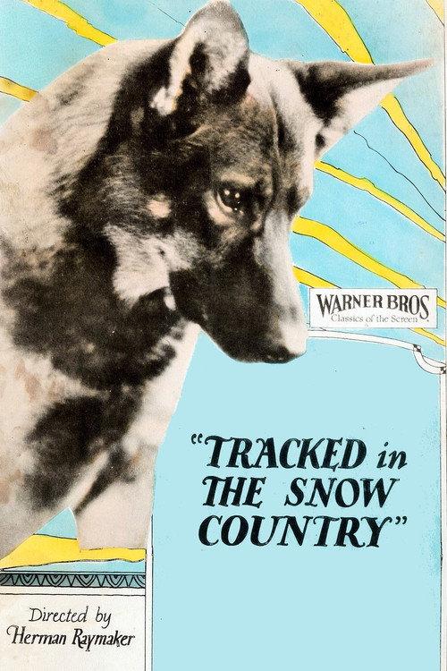 Tracked in the Snow Country 1925 official movie poster