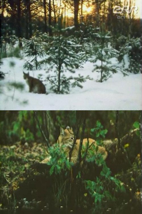 The Story of Ilves 1988 official movie poster