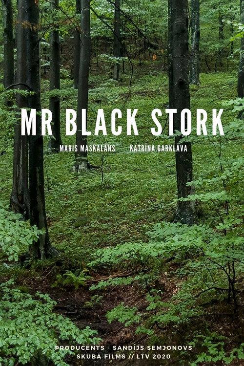 Mr Black Stork 2020 official movie poster