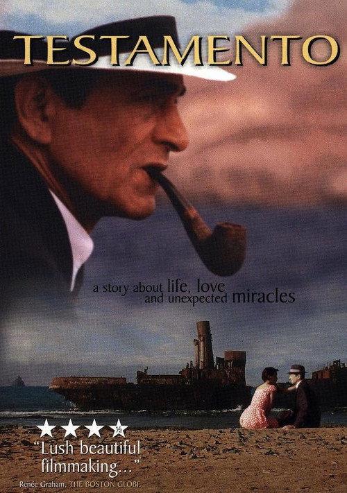Napomuceno's Will 1997 official movie poster