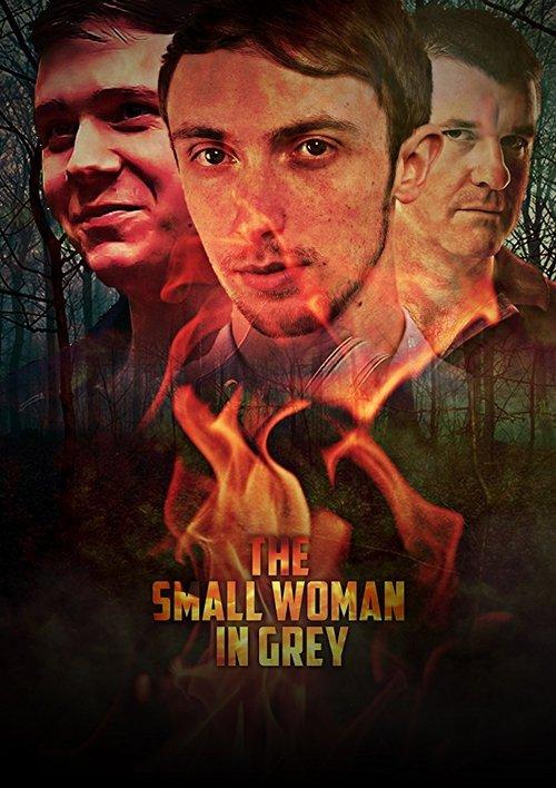 The Small Woman in Grey 2017 official movie poster