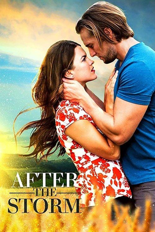 After the Storm 2019 official movie poster
