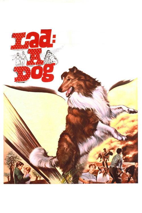 Lad: A Dog 1962 official movie poster