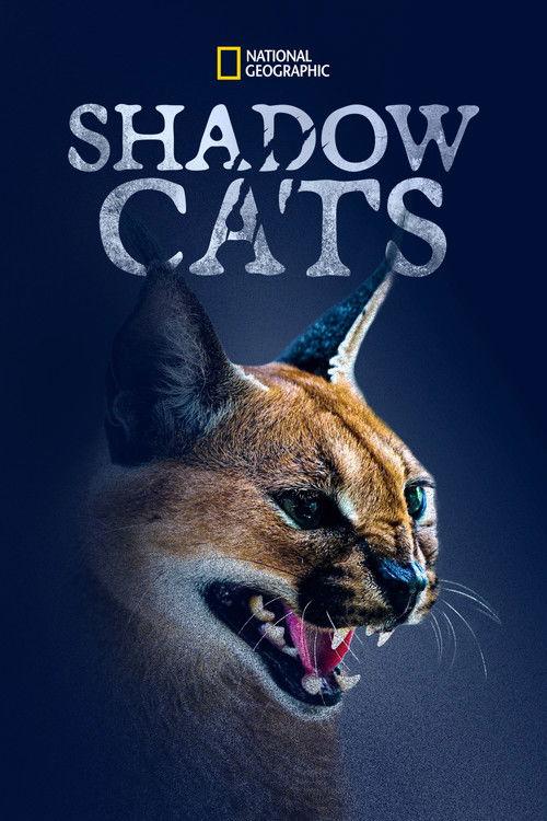 Shadow Cats 2022 official movie poster
