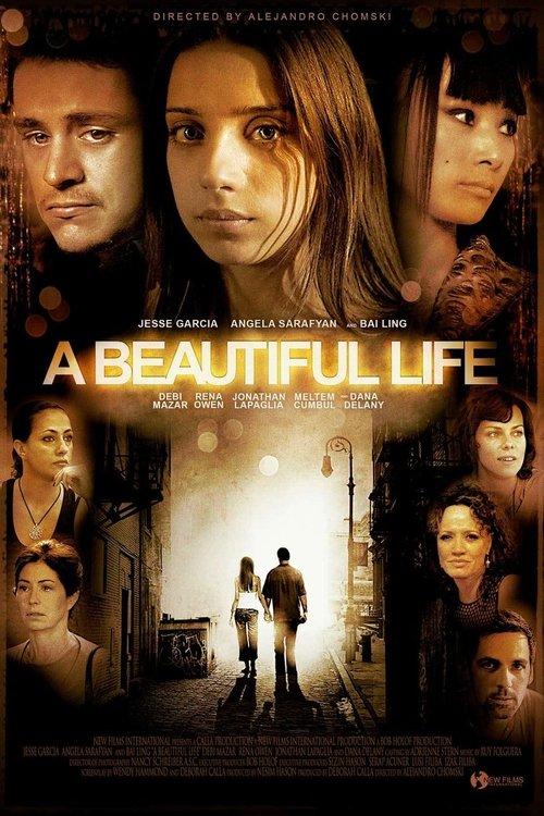 A Beautiful Life 2009 official movie poster