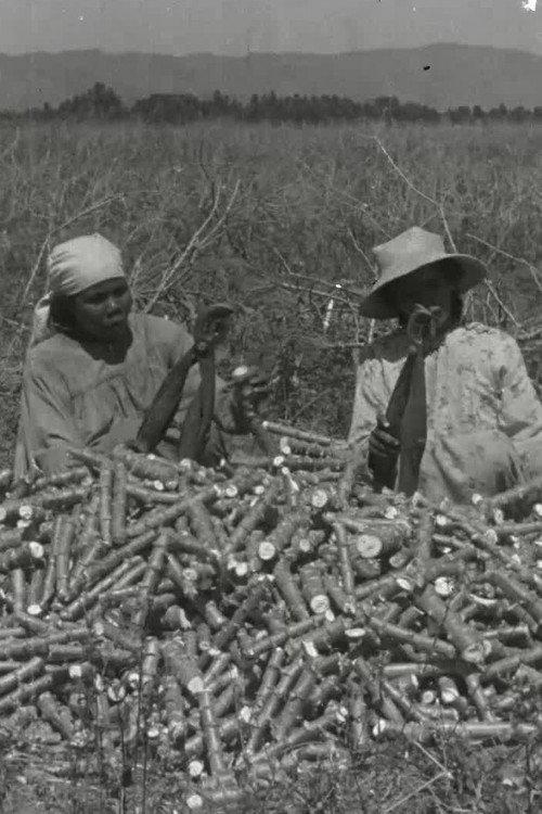 La chanson du manioc 1944 official movie poster