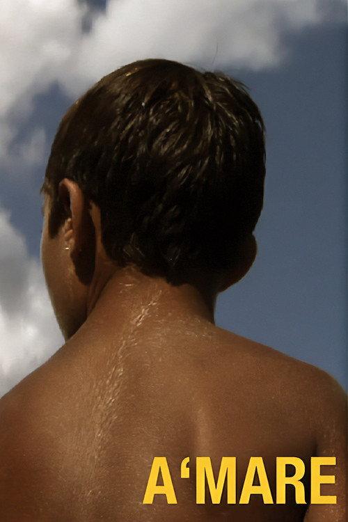A'Mare 2008 official movie poster